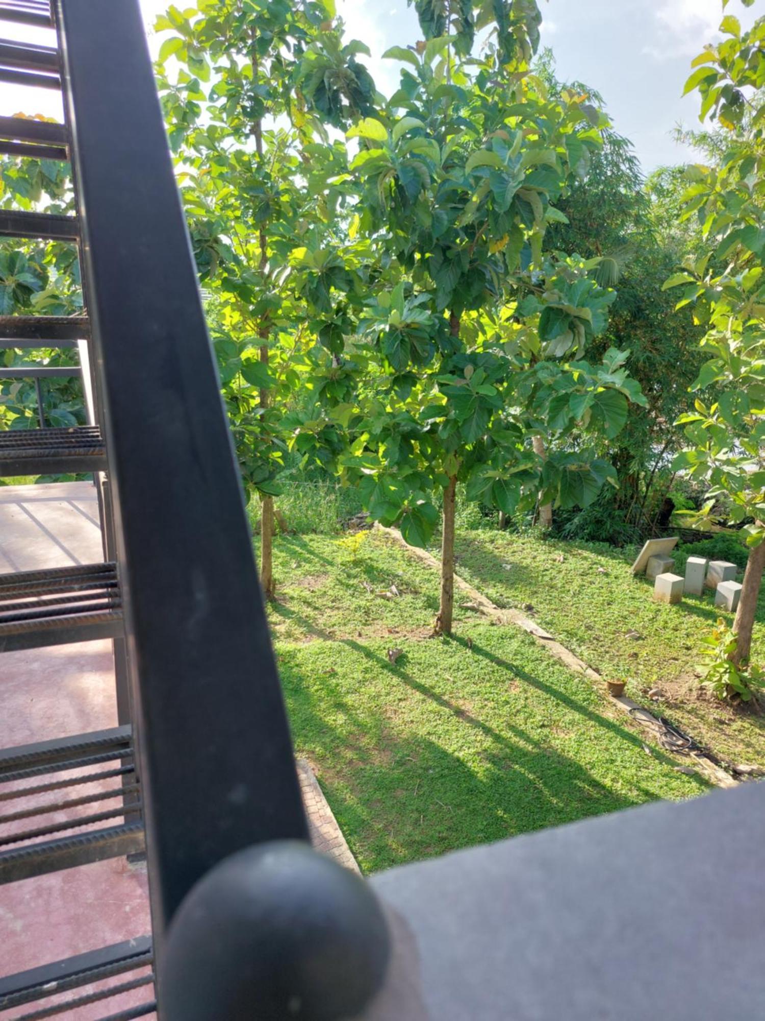 Green Shield Resort Anuradhapura Dış mekan fotoğraf