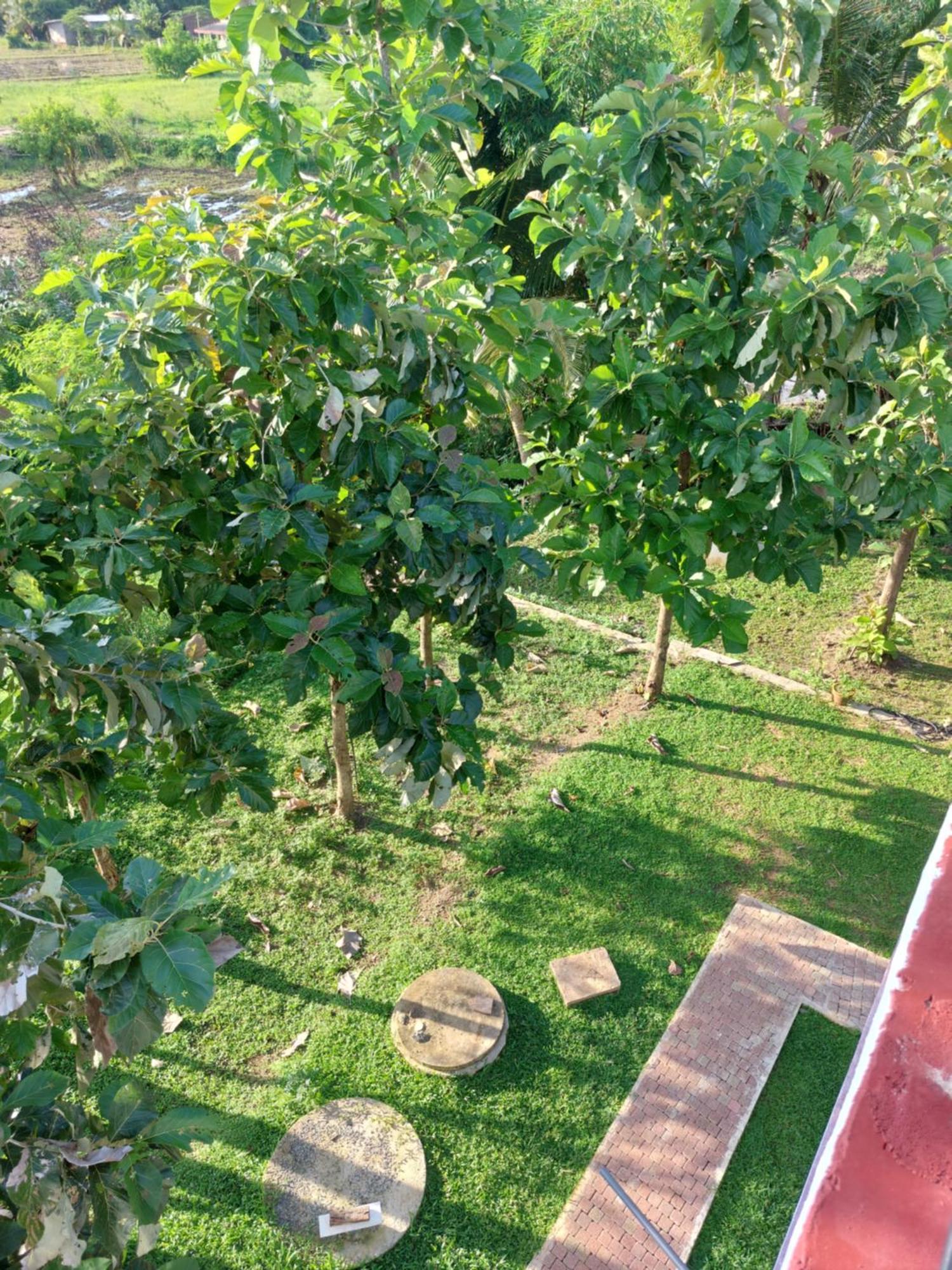 Green Shield Resort Anuradhapura Dış mekan fotoğraf