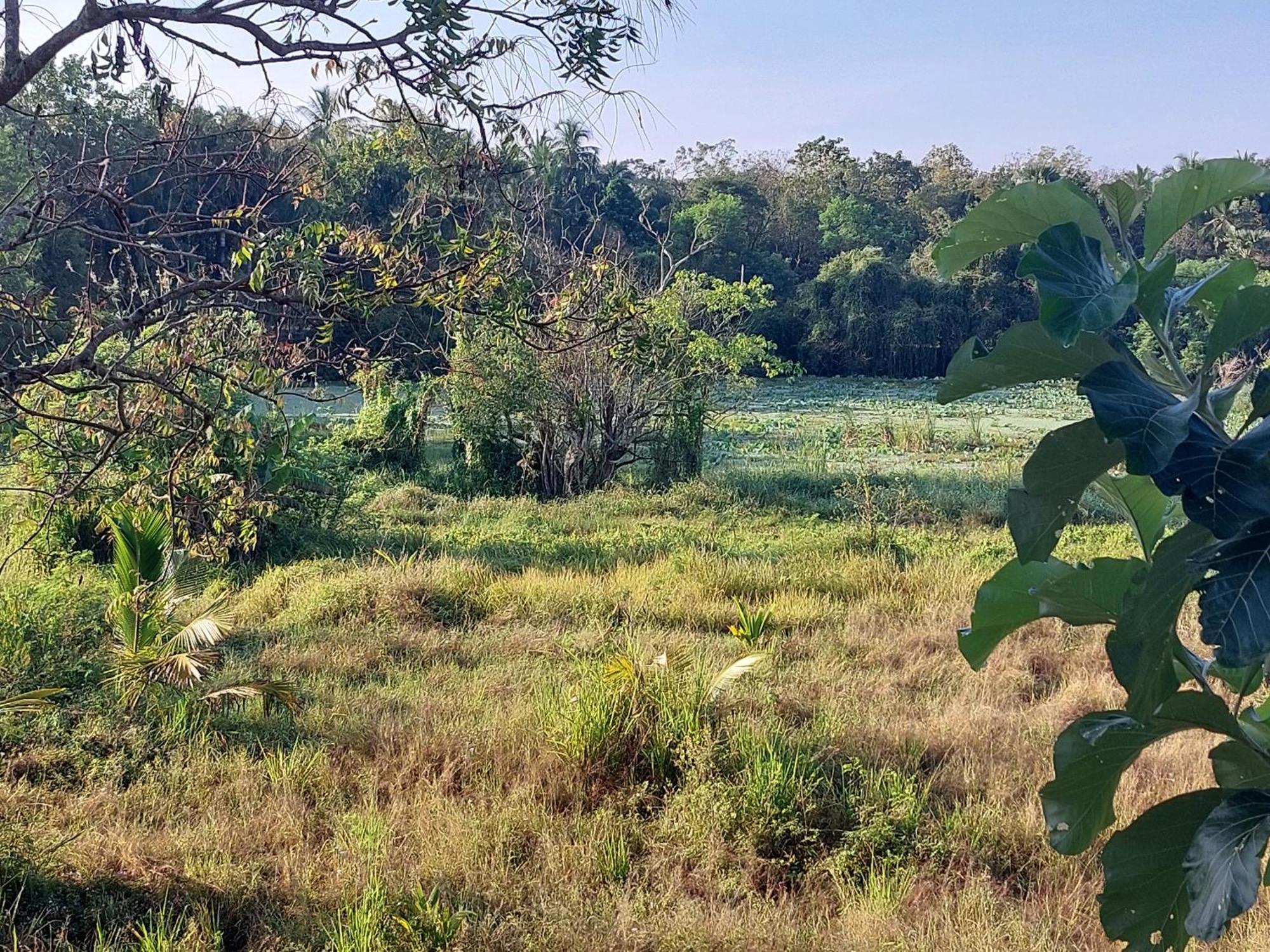 Green Shield Resort Anuradhapura Dış mekan fotoğraf
